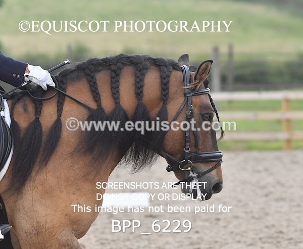 BPP_6229 - ELEMENTARY TEST 4 LONG ARENA