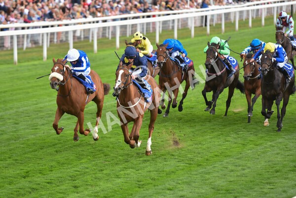 yr18082022r1-26 - Race 1 1.50pm Sky Bet Lowther Stakes