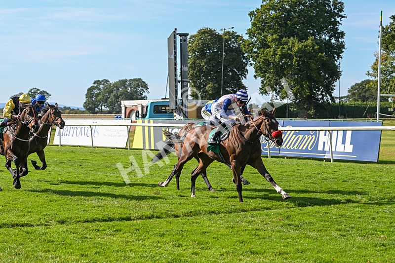 160924-Race 3-Moostar-2755 - Race 3