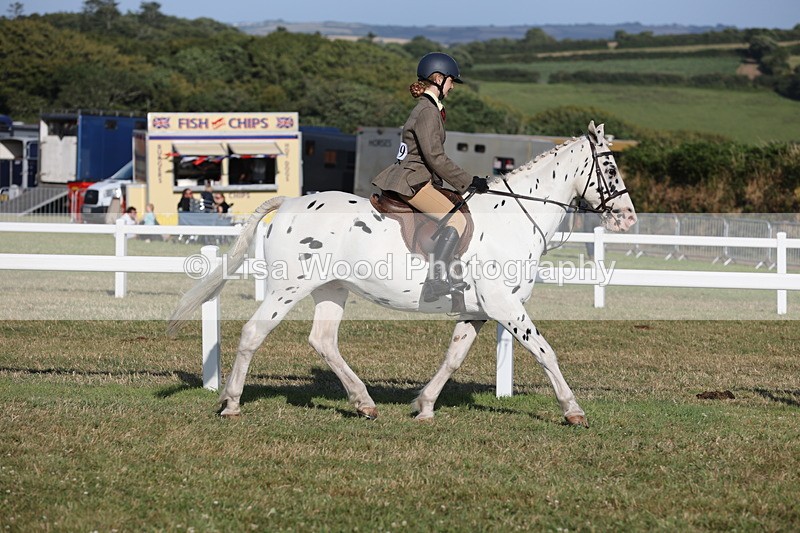 JPP_3277 - Class 21: Working Hunter 80cm