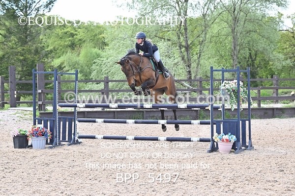BPP_5497 - CLASS 4  BritishNovice/ 90cm Open