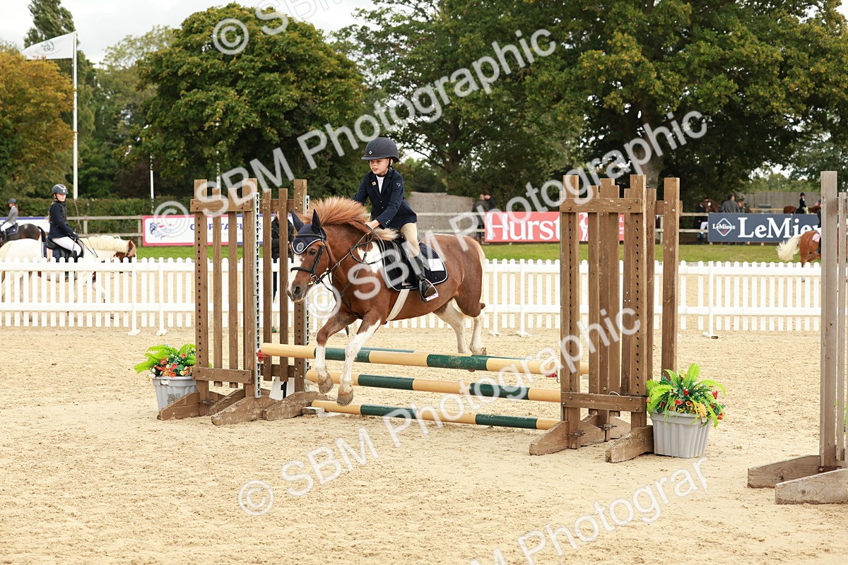 SBM_66973 - J13 - Junior Pony 60cm Championship