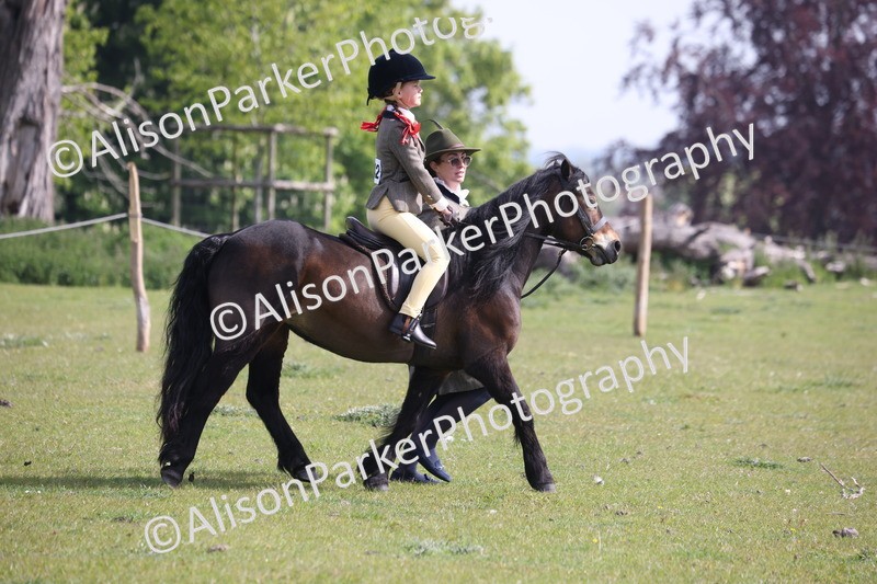 20260426-0584 - Class 31 - Leading Rein