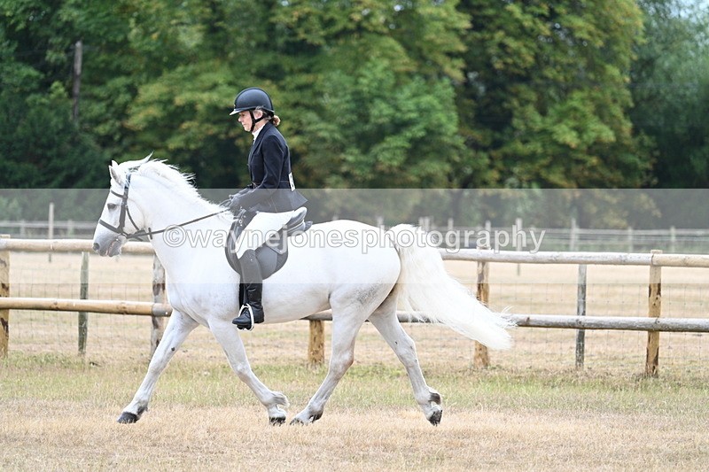 WJ7_0338 - Class 6 Ridden Mountain and Moorland