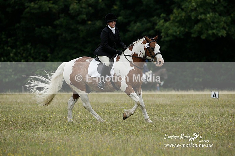 BVRC 030721 91 - Bourne Valley Riding Club Dressage 03/07/21