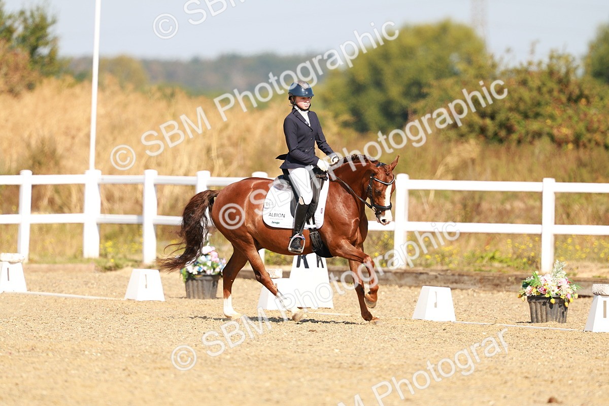 SBM_016812 - Class 9 - N5 Bronze 9.30.10.19