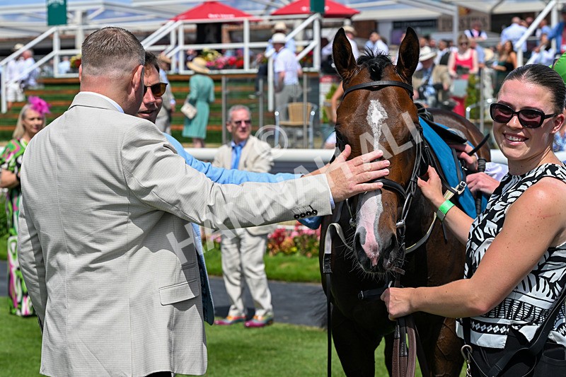110726-Race 1-Big Cigar-6538 - Race 1 14.02pm John Smith's Nursery Handicap