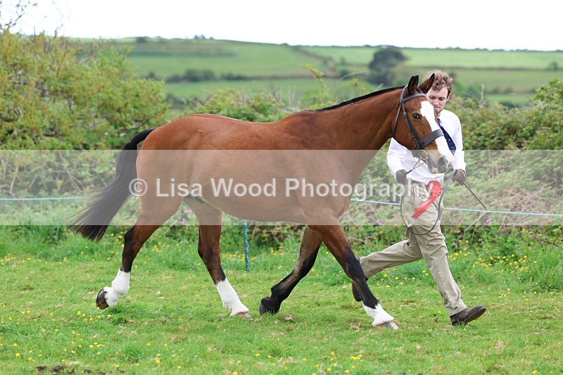 3E7A0749 - In Hand Championship