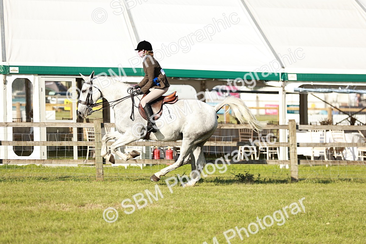 SBM_20116 - Class 115-116 - LIHS BSHA Rising Star Working Hunter & Show Horse