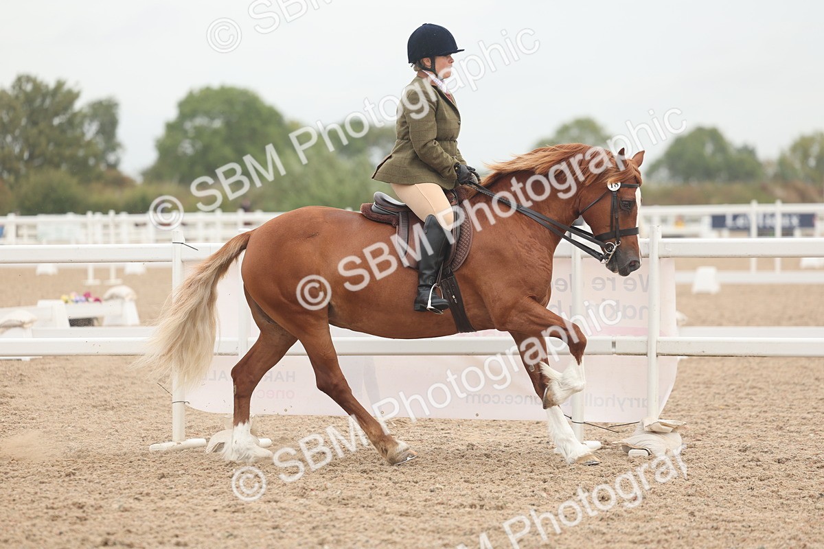 SBM_01885 - Class 14 - Ridden M&M Wildcard