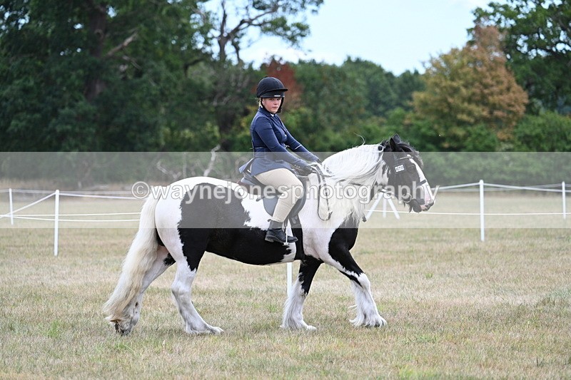 WJ7_4697 - Class 12 Ridden Cob