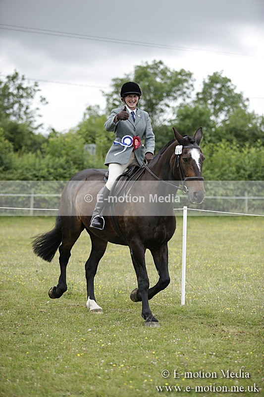 BVR160717-1567 - Ring 1 BVRC Show 16/07/17