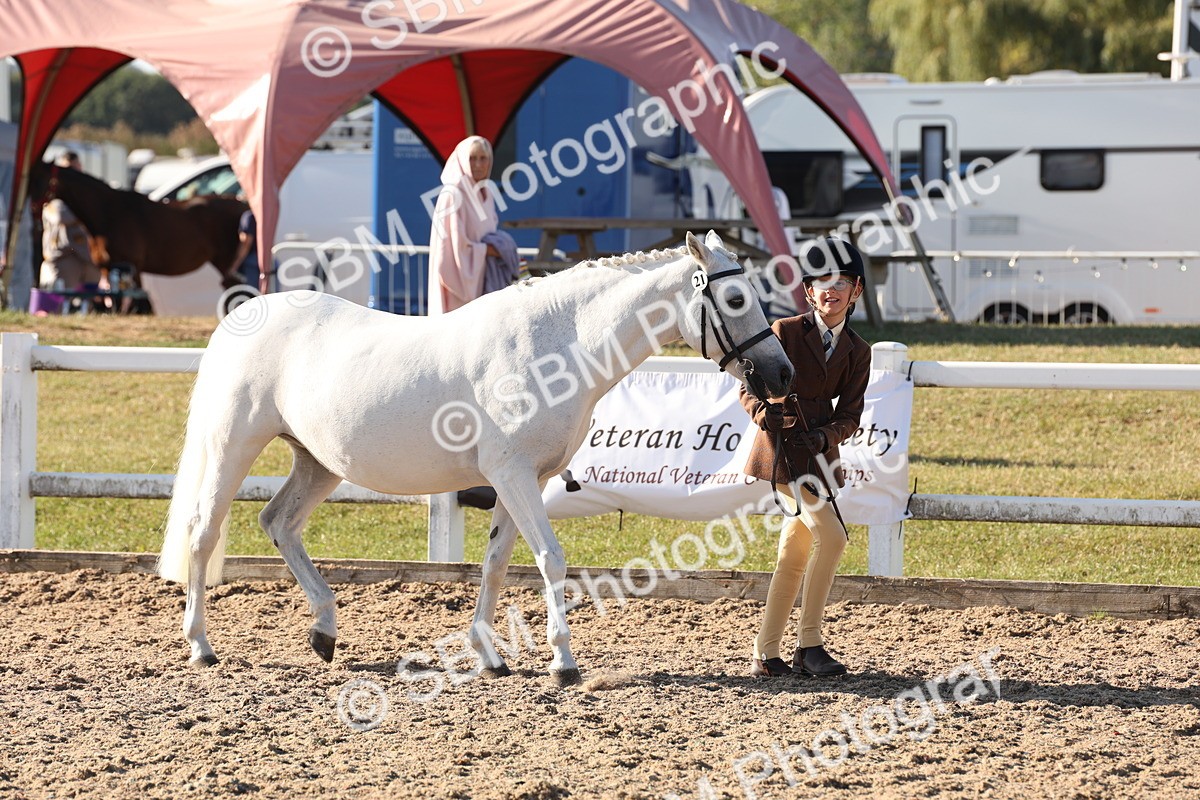 SBM_11628_Class 203 - Young Handler 10 Years and Under - Vicky Gutteridge