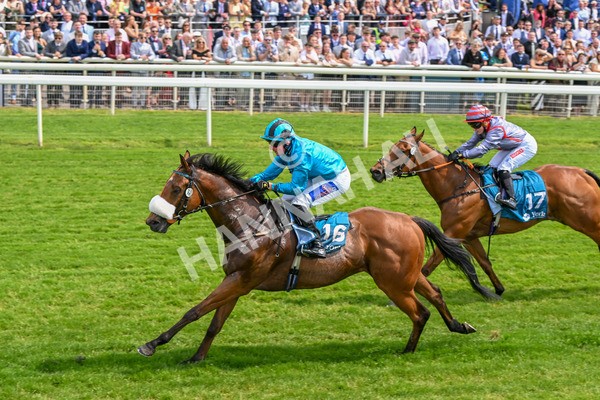 310525-Race 1-Ingleby Archie-8591 - Race 1 1.30pm William Hill Keep Your Raceday Positive Handicap