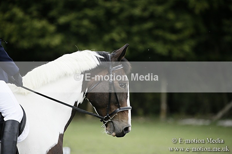BVR080918 70 - BVRC Novice Dressage & CR 08/09/18