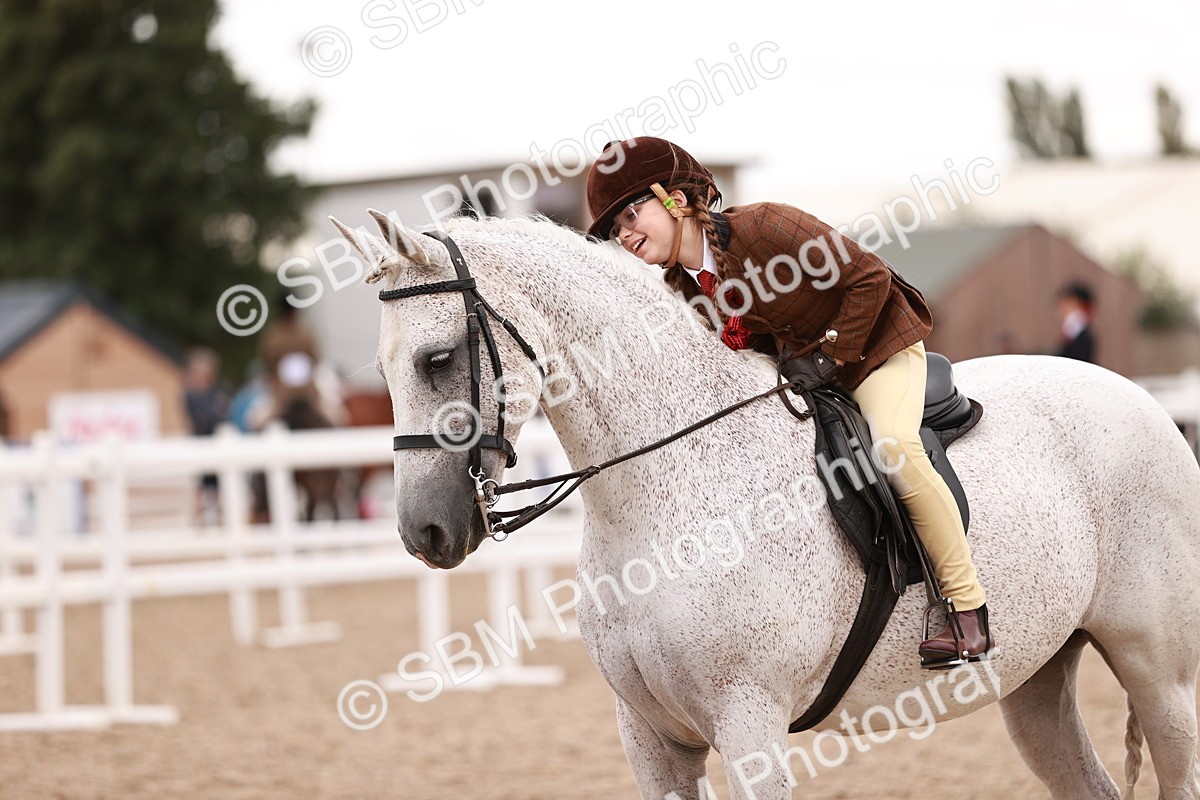 SBM_18584 - Class 421 - Childs Best Friend - Jnr