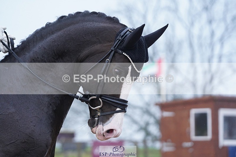 250404-074904-03602 - 024-Jezz.Palmer-Totillah