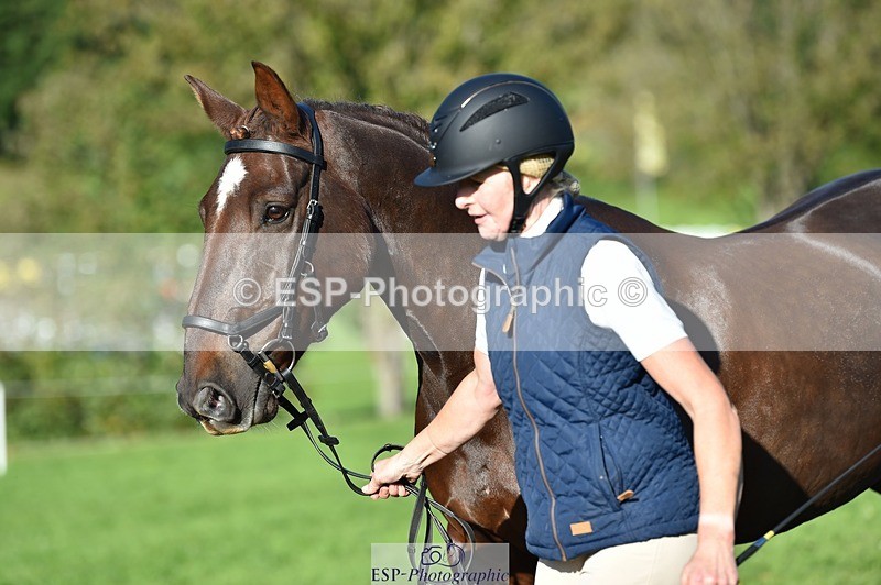 231022-110120-23669 - 461-WOODLANDS.JESTER-Karen.Cowling-TrotUp+SJ