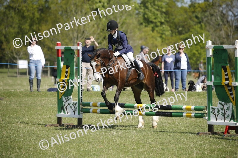 20250427-2133 - Class 13 - Novice Jumping 60cm