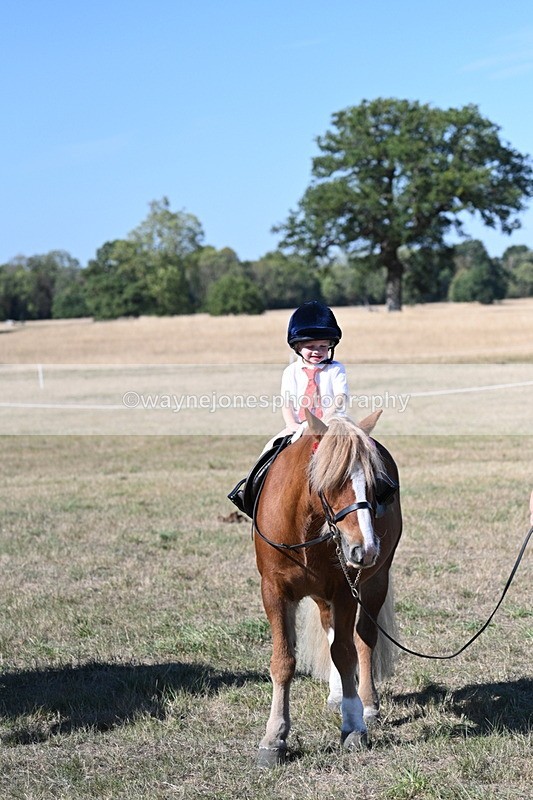 WJ7_2172 - Class 44 Child's Best Friend