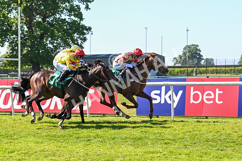 170525-Race 5-Mirsky-8514 - Race 5