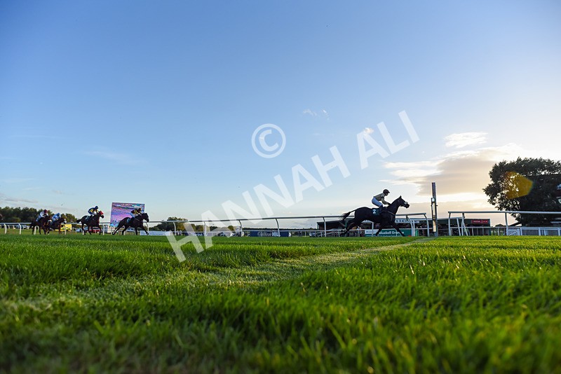 300926-Race 8-Jojo Rabbit-8317 - Race 8 5.55pm Racing Again 17th October Amateur Jockeys' Handicap