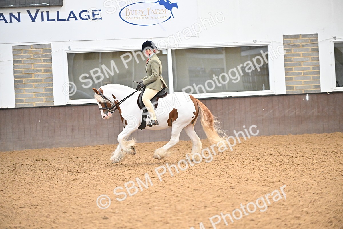 SBM_002650 - Class 28,29 - Ridden Irish & Coloured