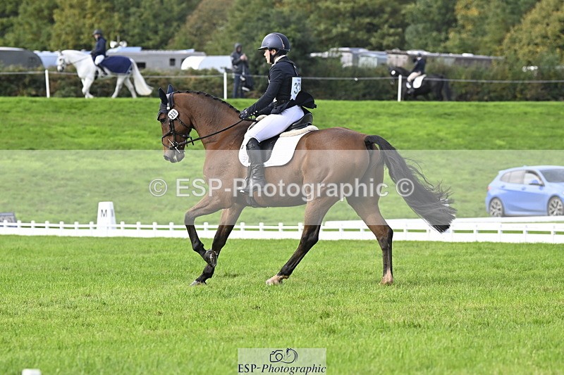 251023A-140849-04260 - D-328-Julia.Knight-Jones