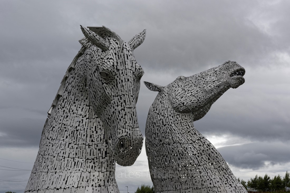 Falkirk Kelpies_0008 - Falkirk Kelpies