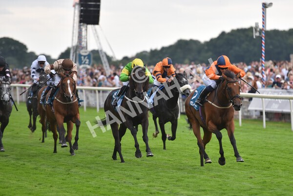 yr23072022r7-26 - Race 7 5.35pm Sky Bet Paying Extra Places Stakes