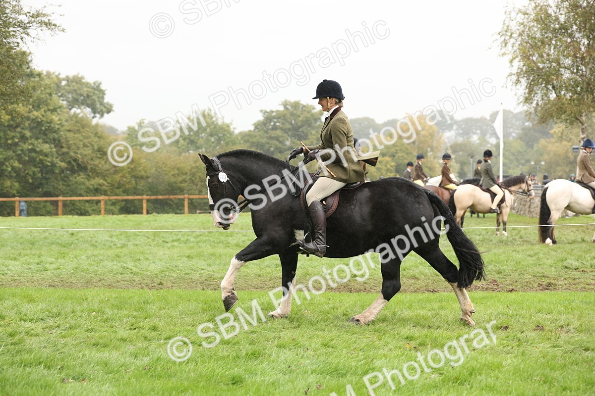 SBM_69815 - S69 - Show Cob Ridden
