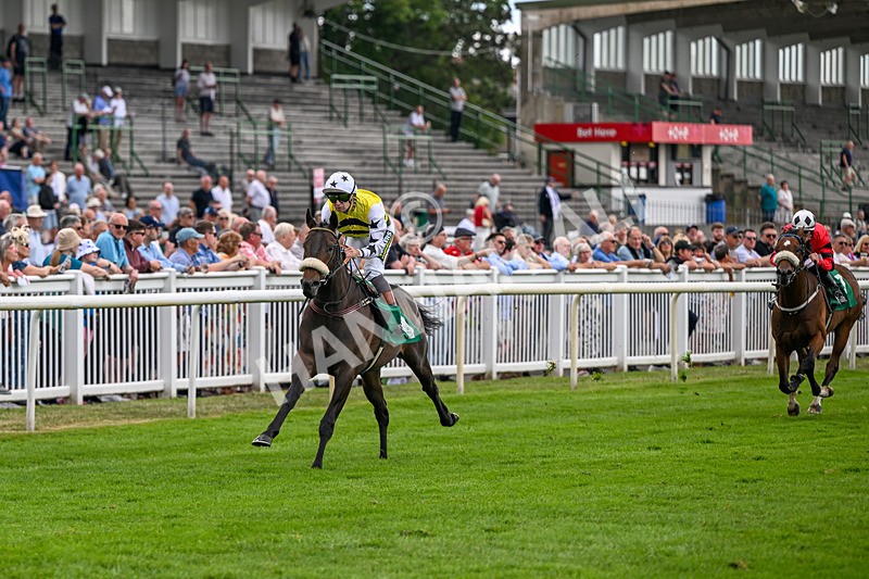 010726-Race 2-Arapaho Gold-7759 - Race 2 13.38pm British EBF Restricted Novice Stakes (Div II)