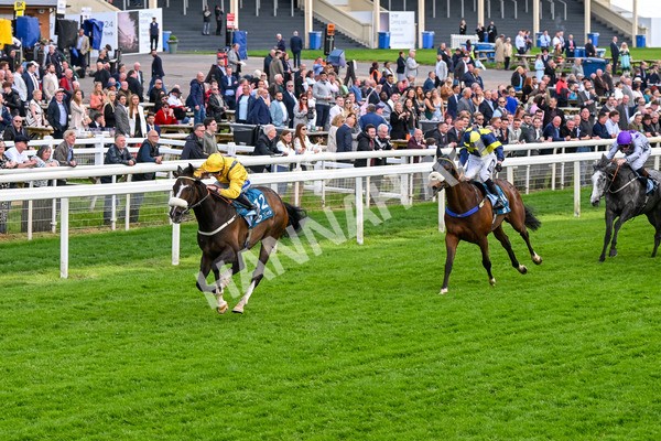150524-Race 7-Dancing In Paris-4721 - Race 7 5.20pm Stuey Weston & Friends Getting Out Handicap