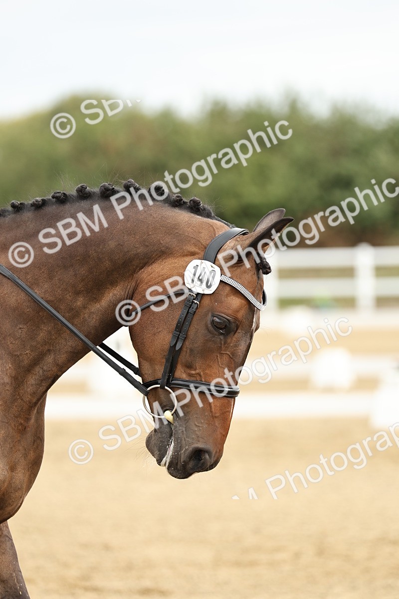 SBM_006574 - Class 21 - Medium 5 Bronze - 9.08-9.48