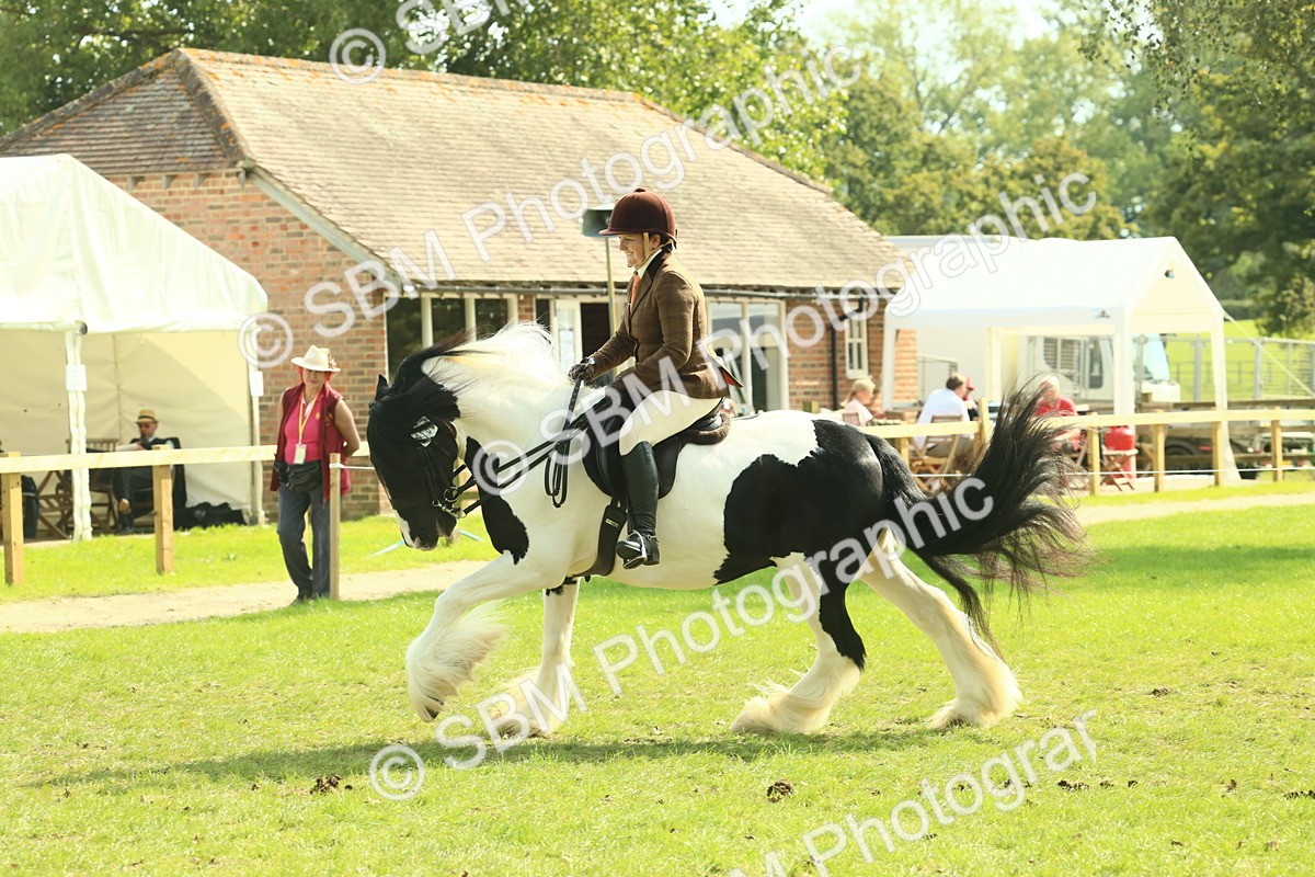 SBM_68794 - S58 - Mini Show Cob Ridden