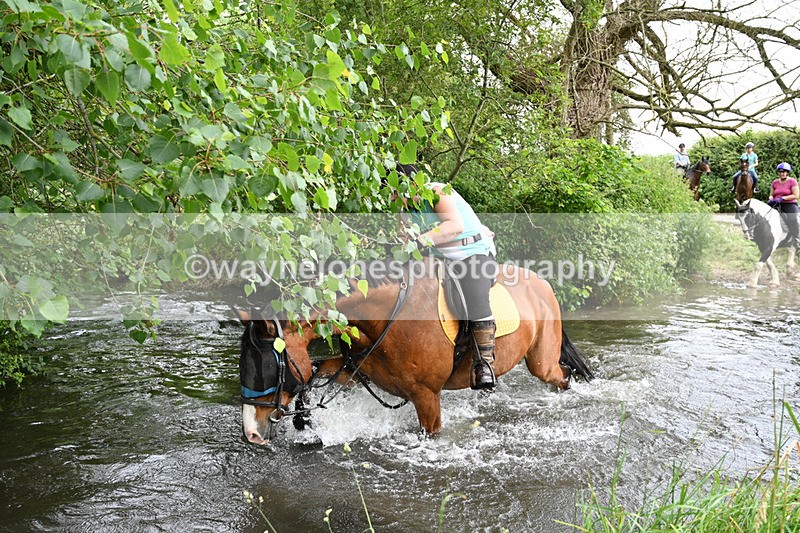 WJ7_2480 - Camera 2 Water Crossing