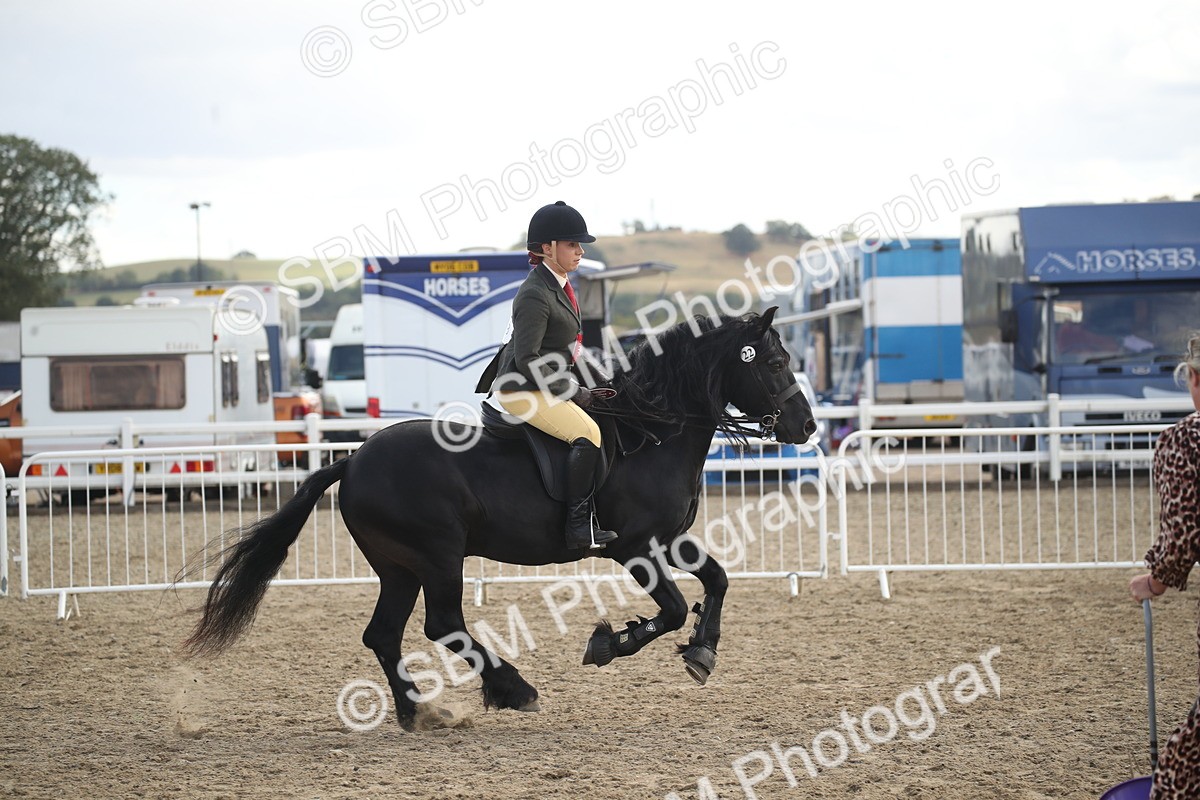 SBM_15199 - Class 505b - M&M Working Veteran - 50cm (20+)