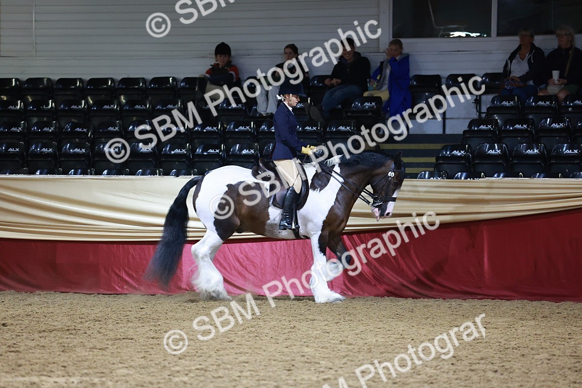 SBM_20269 - Class D - Grass Roots Champ