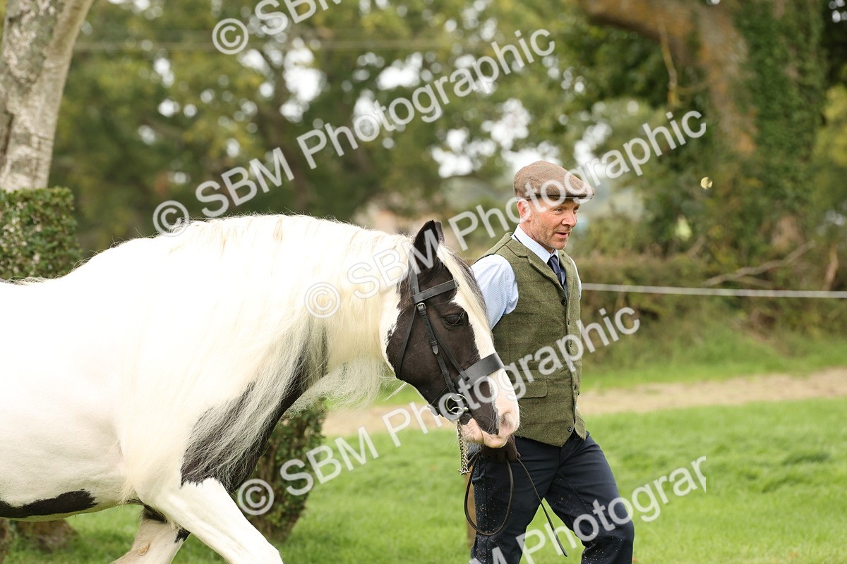 SBM_59205 - S57 - Traditional Cob In Hand