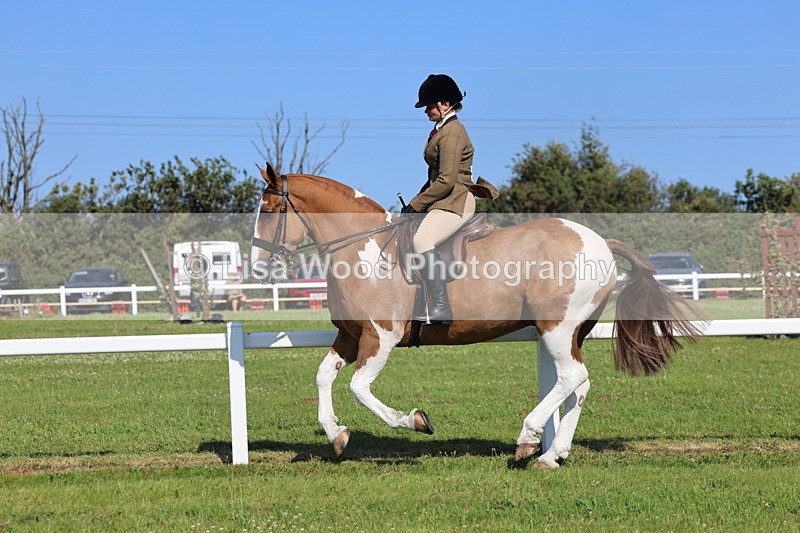 IMG_1648 - Skewbald and Piebald Ridden Championship