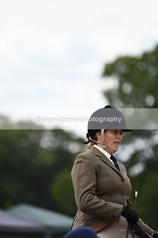 WJ7_5251 - Class 12 Ridden Cob