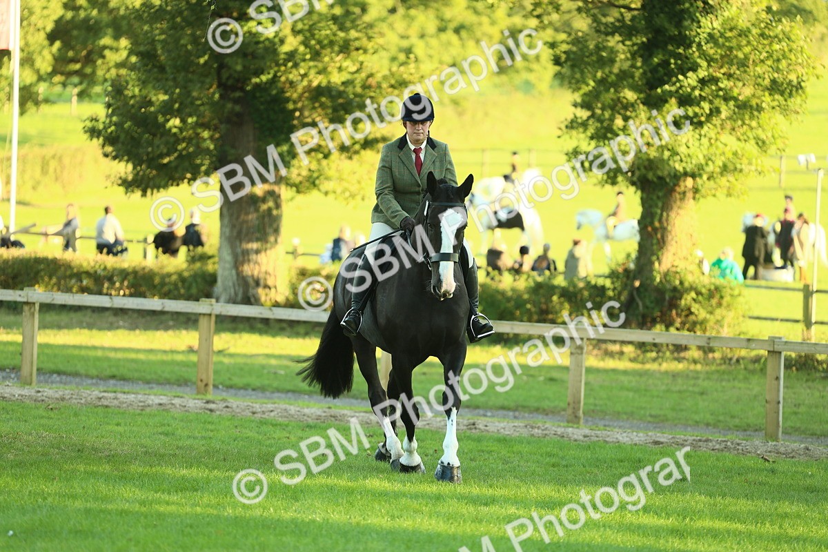 SBM_55638 - S14 - Riding Club Horse