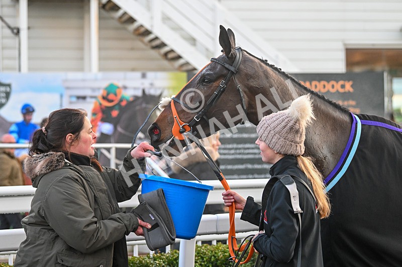 281224-Race 6-Achille Des Rocs-5023 - Race 6