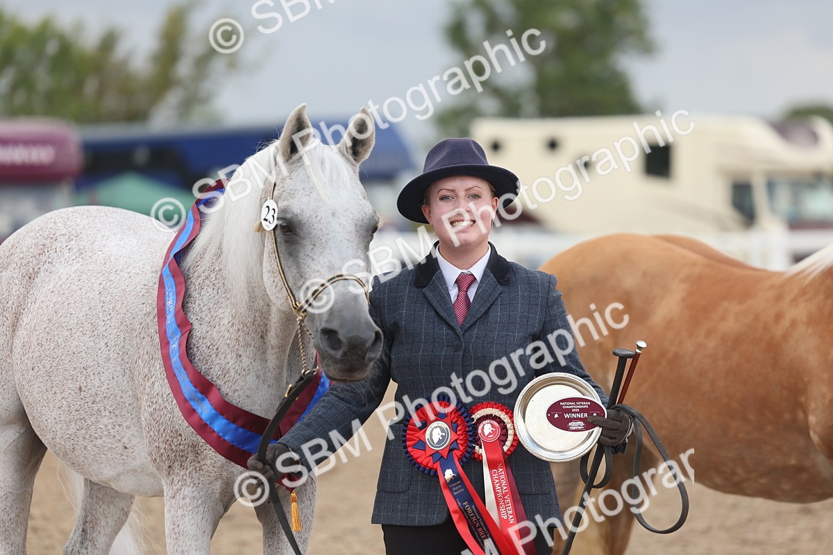 SBM_06911 - Class 25 - IH Foreign Breeds - Purebred