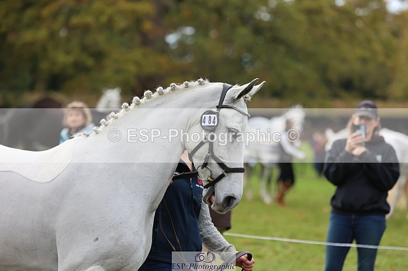 251026A-114145-25622 - F-484-Frankie.Drury