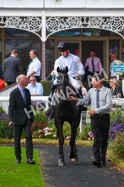 100923-Race 2-Florida-0546 - Race 2 2.15pm John And Judith Marshall Memorial Handicap