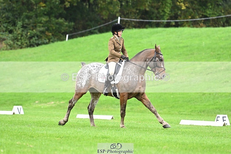 241024-105258-03077 - 501-Captain.Holly.Day-MUSTANG