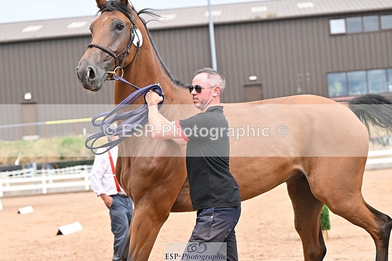 250716-153454-02029 - Trot Up 3.30 to 4.30