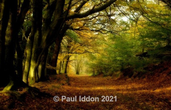 Roddlesworth 3: Orton - Landscapes