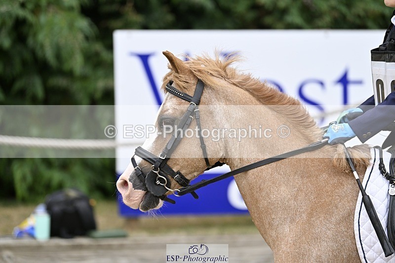 250820A-113615-03741 - Round 1, 11am to End